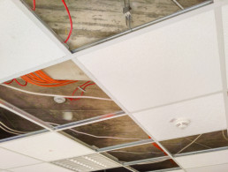 T Grid Ceiling System: The Blueprint Behind Organized and Flexible Interiors